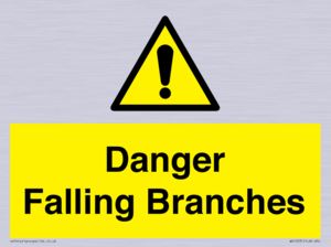 Danger Falling Branches